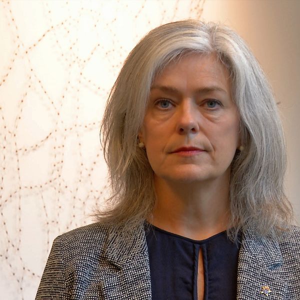 Kammaråklagare Ylva Lundgren utanför tingssal i Skaraborgs tingsrätt