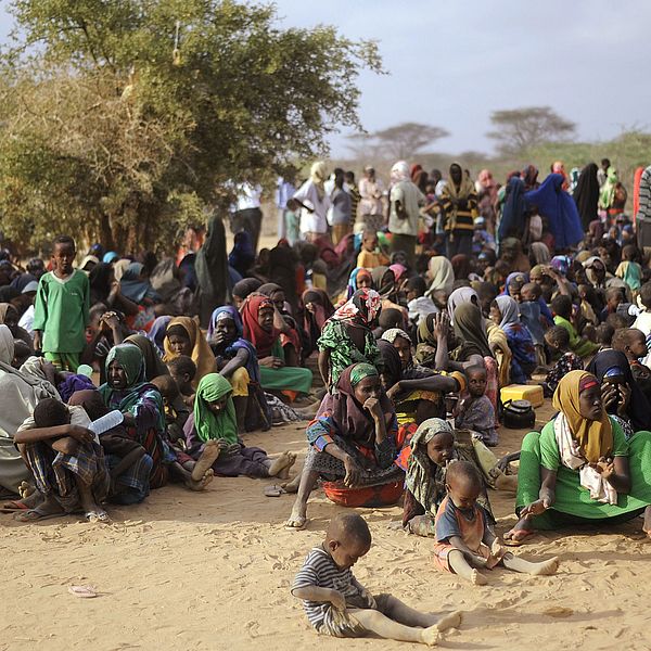 Somaliska flyktingar väntar på att registerar sig vid lägret i Dadaab. Bildenb är från 2011.