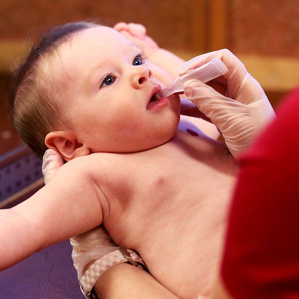 Debatten om vaccinering rasar på flera håll i världen, bland annat i delstaten Oregon i USA där det här barnet får ett vacccin oralt.