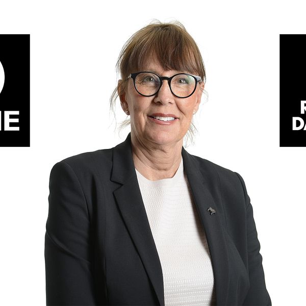 Dalarnas regiondirektör Karin Stikå Mjöberg har precis köpt in IT-systemet Vårdexpressen som nu ska testas på Dalarnas vårdcentraler.