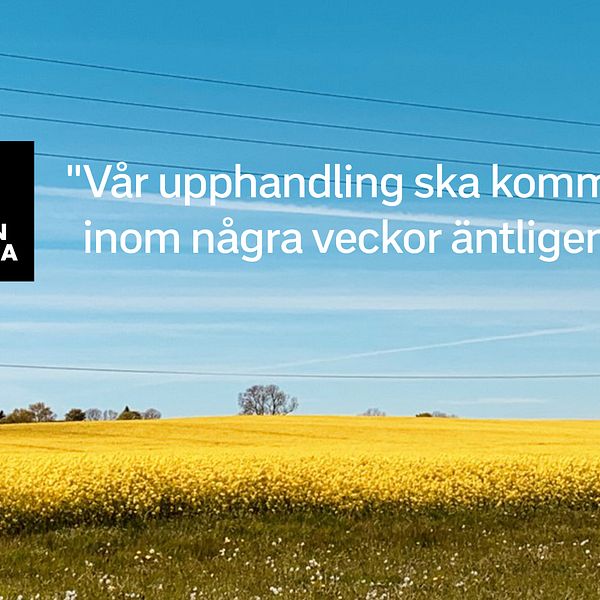 Långt innan de andra anbudsgivarna informerades fick Vårdinnovation veta att en upphandling var på gång i Region Dalarna. Det visar mejlväxling som SVT tagit del av.