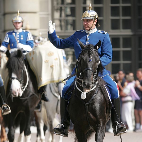 Järvsöfaks under högvakten i Stockholm 2007.