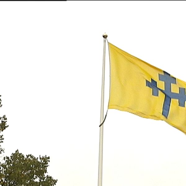 Flagga Köpings kommun