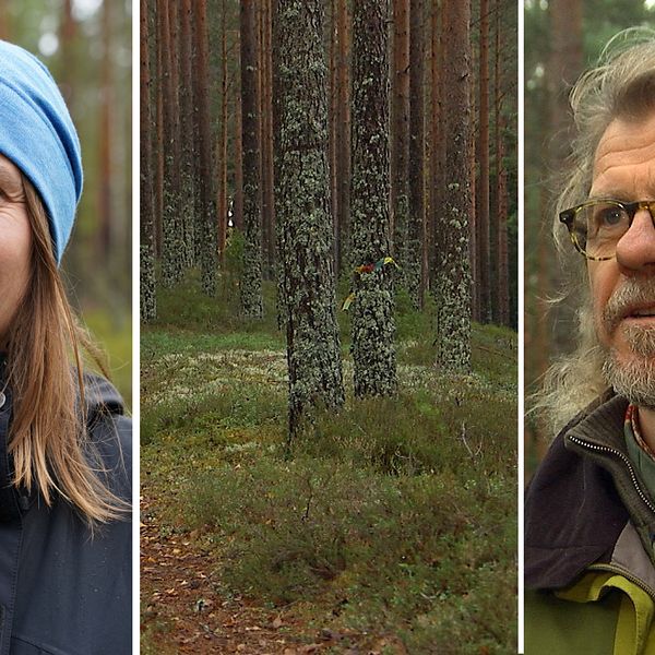 Henrik Frendin som har en fastighet vid Lidsbron i Sunnemo vill att Stora Enso ska stoppa en avverkning av skog i området.