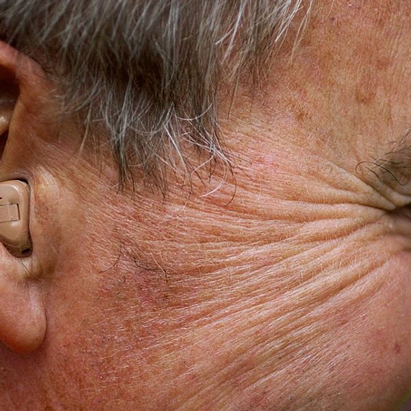 Inom några år kanske hörselskadade och döva klarar sig utan hörapparater och implantat. Nu har forskaren nämligen tagit det första steget mot att odla fungerande mänskliga hörselceller.