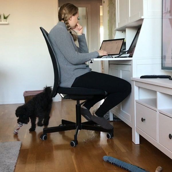 Kvinna sitter framför datorn.