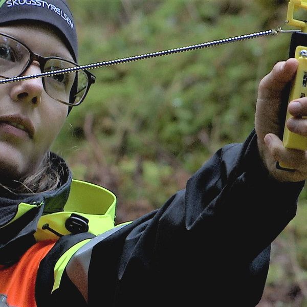 Ung kvinna står i skogen med ett relaskop i händerna (en gul plastsak med en kedja). Kvinnan har glasögon och en mössa med texten Skogsstyrelsen på. Hon har en svart och gul/orange jacka.