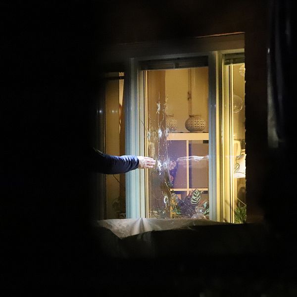 En tekniker pekar mot ett fönster med sex kraftiga kulhål.