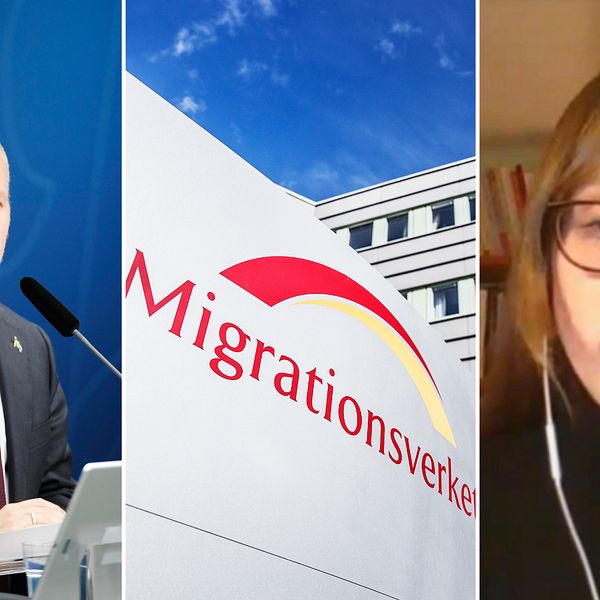 Arkivfoto på Morgan Johansson från presskonferens, Migrationsverkets lokaler och skärmdump på en kvinna från ett videosamtal.