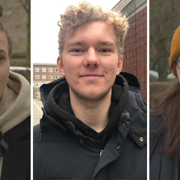 Elever från Skara och Göteborg berättar om svårigheterna med distansundervisning.
