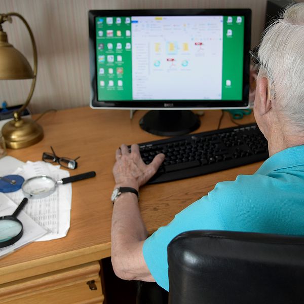 Pensionär sitter vid stationär dator.
