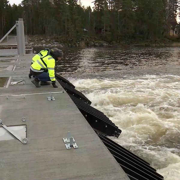 Arvika har aktiverat översvämningsskyddet efter höga flöden. Bilden är från en övning då drygt 20 kubikmeter vatten per sekund pumpas ut ur Kyrkviken.