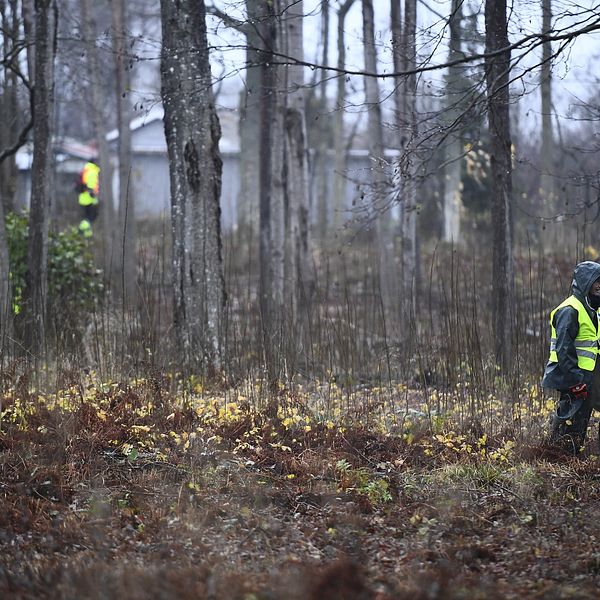 Frivilliga från Missing people söker i skogen efter en försvunnen person.