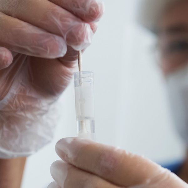 En sjuksköterska i skyddsutrustning har utfört ett PCR covid-19 test på en patient. Arkivbild.