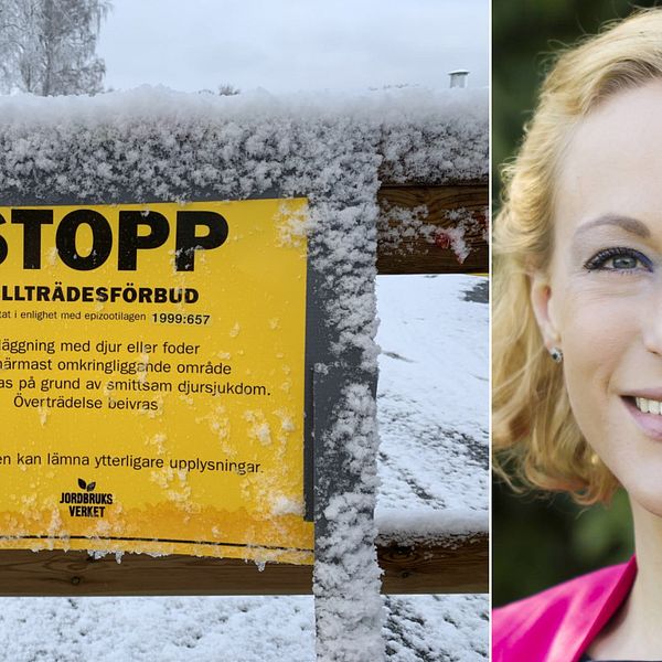 Blentas fjäderfäanläggning utanför Blentarp är avspärrad. Blentagruppens veterinär Bodil Wahlgren.