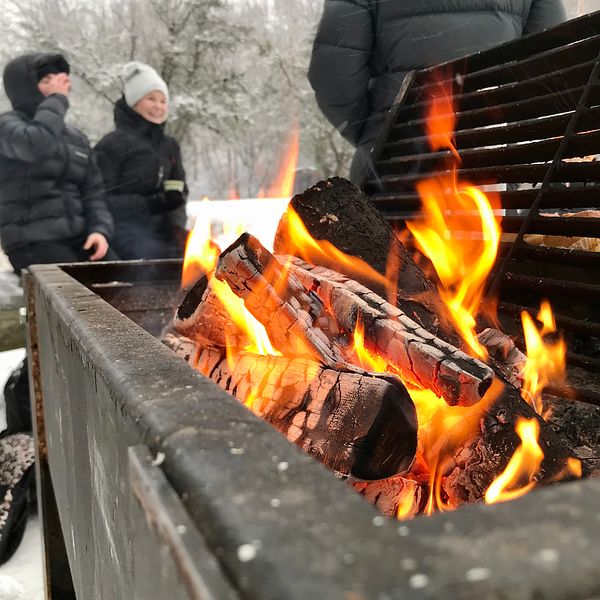 Många har varit ute i naturen och grillat under 2020