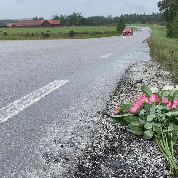 Blommor längs vägen i Slättåkra.