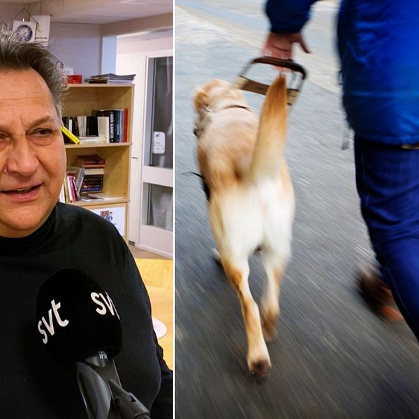 En man från Synskadades Riksförbund står framför kameran och blir intervjuad, bredvid en bild på en gående man med en ledarhund.