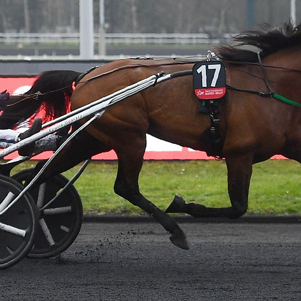 Björn Goop vann Prix d'Amérique för tredje gången.