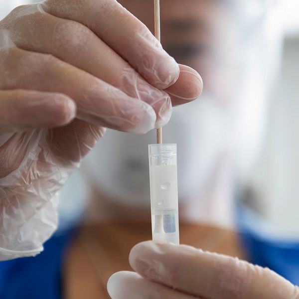 Person med plasthandskar håller i ett PCR-test.