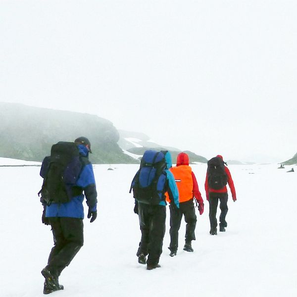 STF människor på vandring fjällen fjäll och vinter vandring på vintern