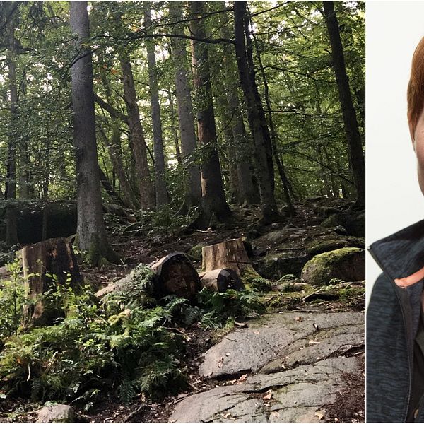 Grönskande skog till vänster i bild. Korthårig leende kvinna till höger i bild.