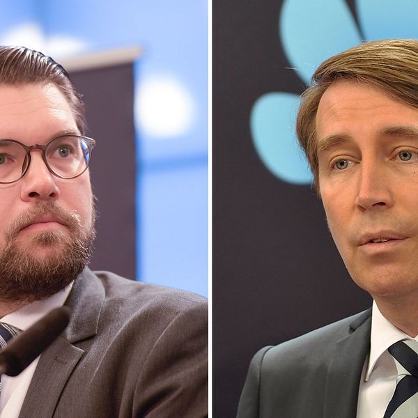 Jimmie Åkesson och Richard Jomshof