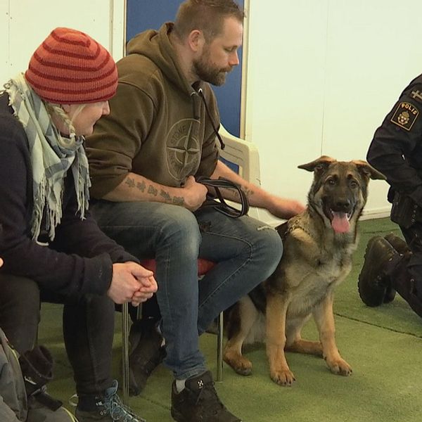 man i polisunuform och ett barn, en kvinna och en man sitter med en ung schäferhund, en man i polisuniform hukar bredvid.