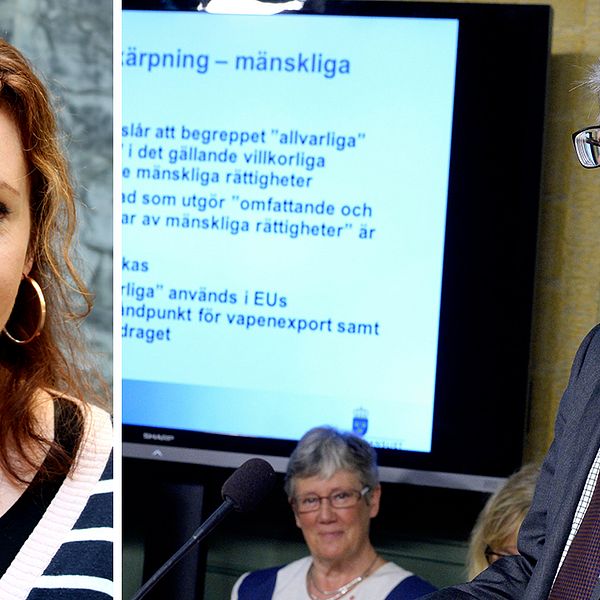 Anna Ek, ordförande för Svenska Freds- och Skiljedomsföreningen, kritiserar den nya KEX-utredningen, en översyn av exportkontrollen av krigsmateriel, som överlämnades till regeringen av kommitténs ordförande Hans Wallmark (M).