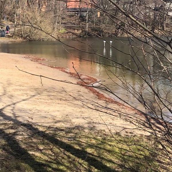 Strandbadet vid sjön Trekanten.