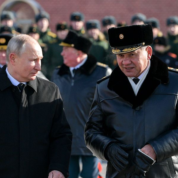 Rysslands president Vladimir Putin (vänster) och försvarsminister Sergej Shoigu (höger).