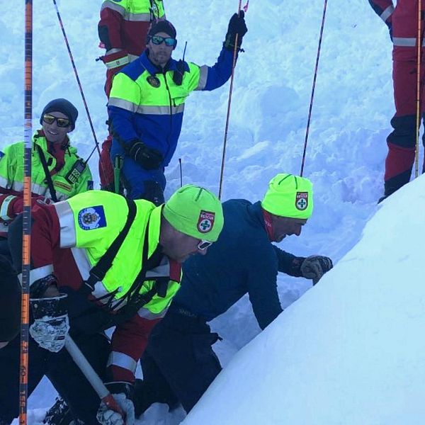 flera personer i fjällräddningens varselkläder som gräver i backe där lavin gått, några med sond (stav)