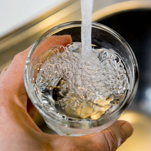 Vatten från en vattenkran som rinner ner i ett dricksglas.