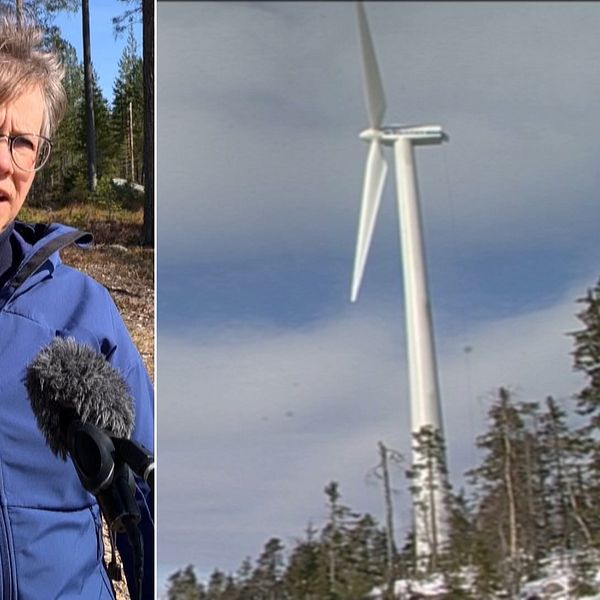 Äppelbo vinds ordförande Anki Gustafsson och Dalarnas äldsta vindkraftverk i Hunflen.