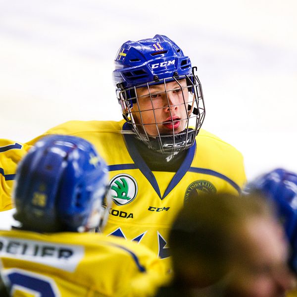 Fabian Lysell blev tvåmålsskytt för Sverige mot USA.