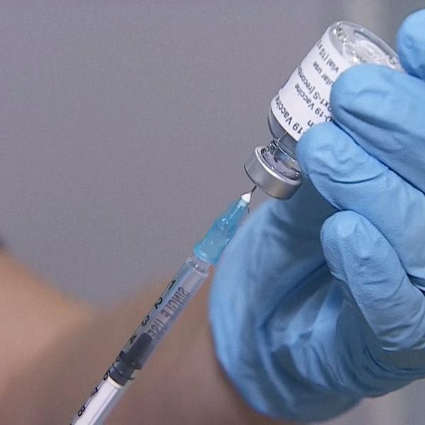 Vaccinpersonal drar in vaccin i spruta från ampull.