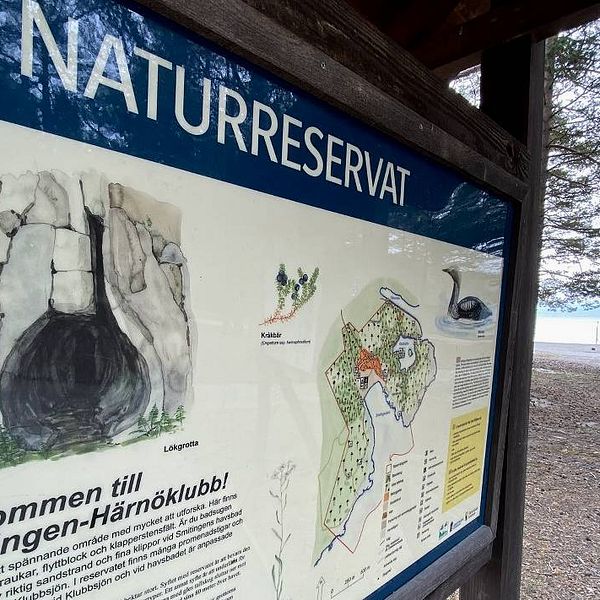 Camping på Smitingen i Härnösand.