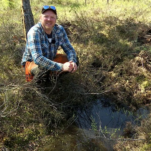 Gustav Eriksson arbetar som miljö- och vatteningenjör i Hudiksvalls kommun. Han tycker att det är jätteroligt att komma tillbaka och se när man lyckats bra med ett område.