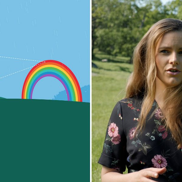 I videon förklarar SVT:s meteorolog Tora Tomasdottir hur regnbågen uppstår – och hur man gör för att se en cirkulär regnbåge.