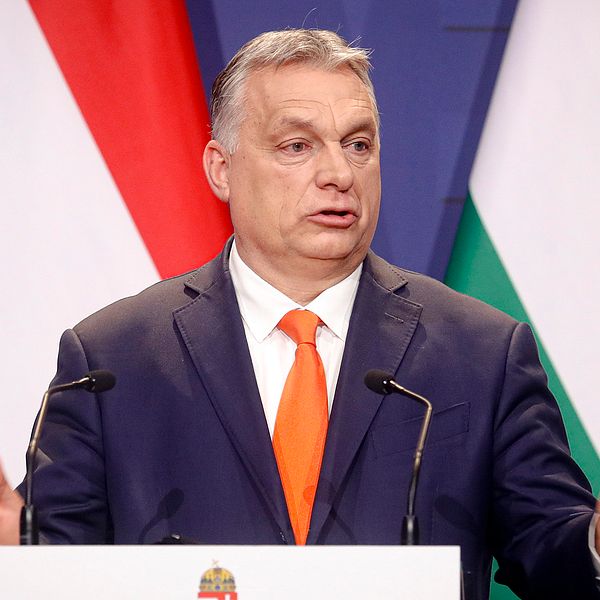 Ungerns premiärminister Viktor Orban i kostym framför två ungerska flaggor. Han tittar åt sidan och gestikulerar med händerna.