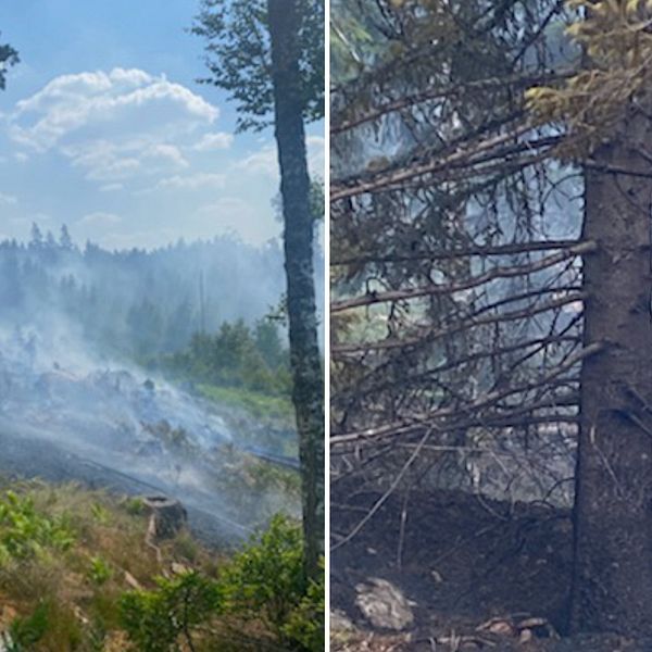 Bilden är ett collage av två olika bilder som visar en skogsbrand i Lönneberga i Hultsfreds kommun.