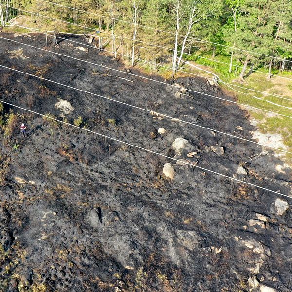 Skogsbrand i Sandsjöbacka.