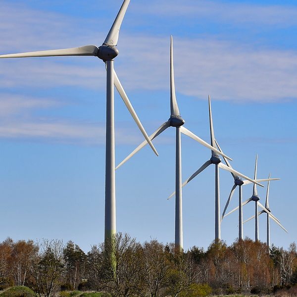 Bild på vindkraftverk