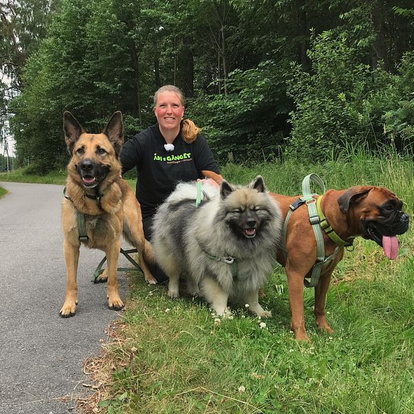 Malin Palm Friberg tillsammans med några av hundarna på det hunddagis hon driver i Lidköping