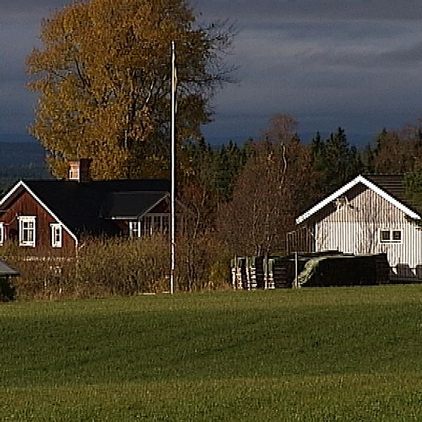 Längst till vänster en liten stuga, till höger om det en brun villa och till höger om den en vit villa. Flera träd i bild, molnig himmel och gräsmatta.