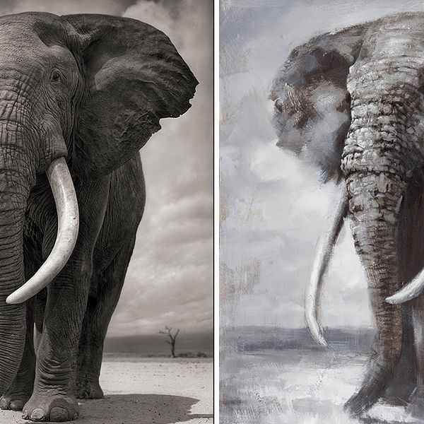 Till vänster Nick Brandts ”Elephant on Bare Earth”. Till höger oljemålningen som sålts av möbelföretaget Mio.