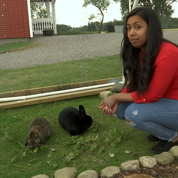 Karin Påsse sitter ner på huk vid två kaniner utomhus.