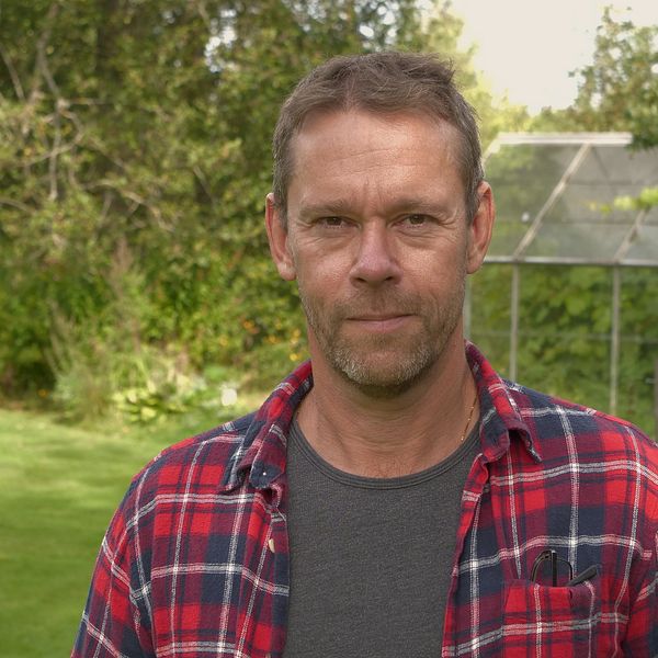 Mats Öfwerström i rutig skjorta framför grönska och ett växthus
