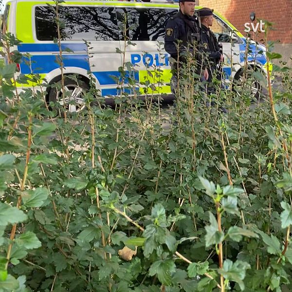 Sex personer nu anhållna efter tillslagen i Arboga i onsdags kväll