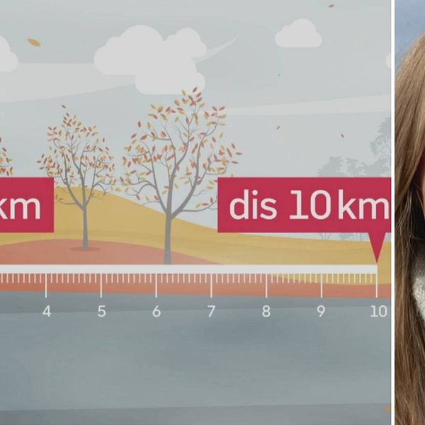 Se meteorologen Tora Tomasdottir berätta skillnaden på dis och dimma.